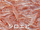 �V���G�r