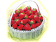 �n��c�̏��W�o�^500���I�u�O�ҁv�ł��o�ꂵ���w��䂢�����x